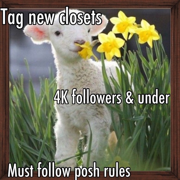 New Posher Closet Feature and Follow Game - Picture 3 of 4